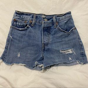 Levi Wedgie Shorts